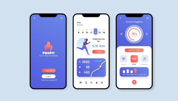 Design & Development